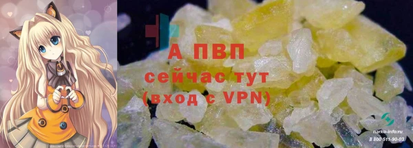 стаф Абинск