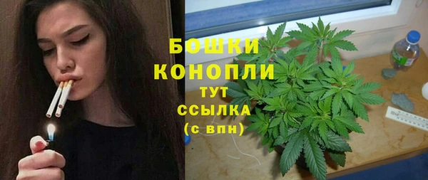 твердый Абаза