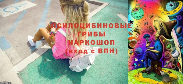 твердый Абаза