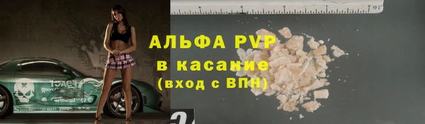 стаф Абинск