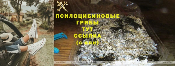 твердый Абаза