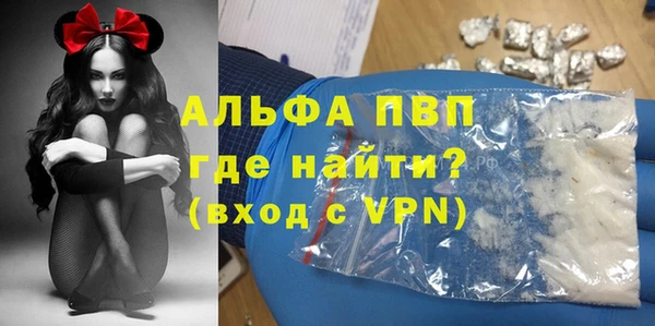 стаф Абинск