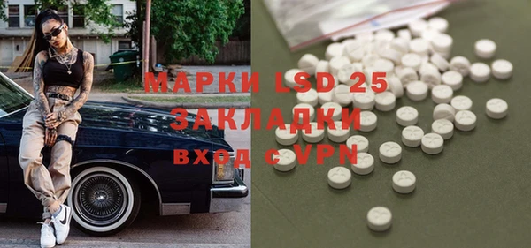 стаф Абинск