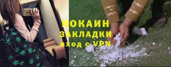 твердый Абаза