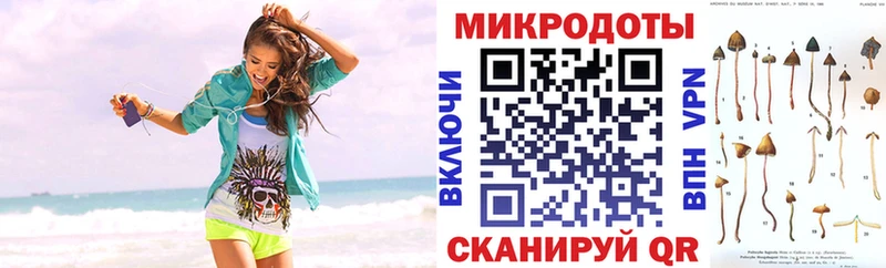 купить наркоту  Ярославль  Псилоцибиновые грибы мухоморы 