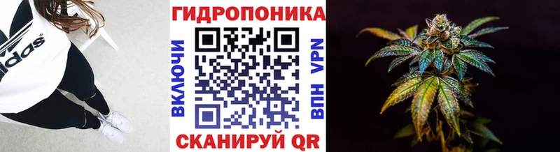 Бошки Шишки Amnesia  Ярославль 